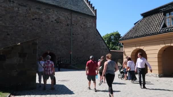 Oslo Norge Innanför Akershus Fortrees — Stockvideo