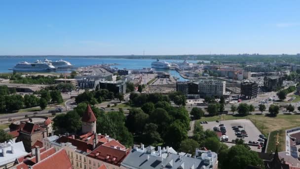 Tallin Estonia Vista Del Casco Antiguo — Vídeos de Stock