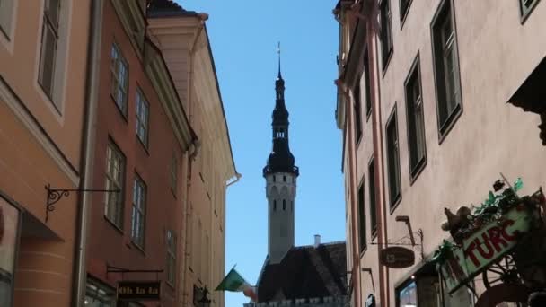 Tallin Estonia Alejarse Torre Del Ayuntamiento — Vídeos de Stock