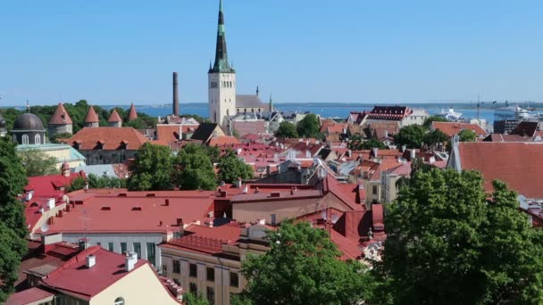 Tallinn Estónia Vista Horizonte Cidade Velha Partir Colina — Vídeo de Stock