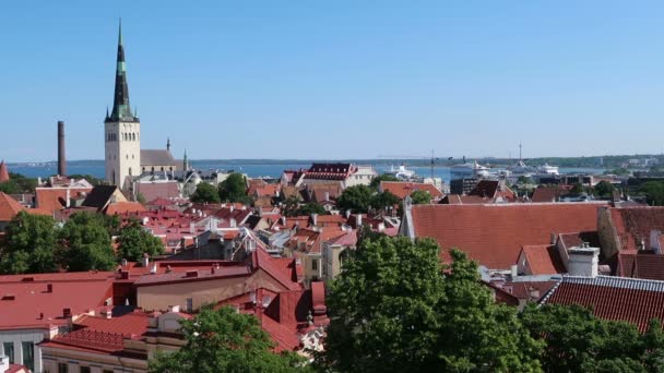 Tallinn Estónia Vista Horizonte Cidade Velha — Vídeo de Stock