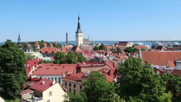Tallinn Estonya Tepeden Görünen Eski Kasaba Manzarası — Stok video