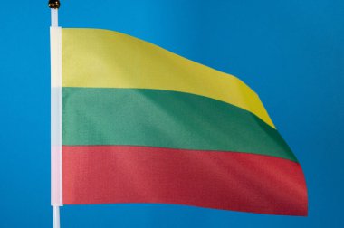 Dünyanın bayrakları, mavi ekranda Litvanya bayrağı