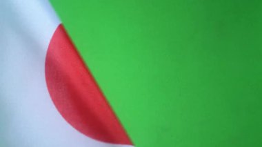 Dünyanın bayrakları, yeşil ekranda Japon bayrağı