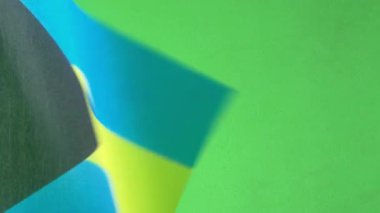 Dünyanın bayrakları, Bahamaların bayrağı yeşil ekranda