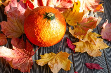 Turuncu balkabağı ve sonbahar sarı akçaağaç yaprakları ahşap bir masada. Cadılar Bayramı ve yeni hasat konsepti.