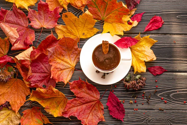 Kopp kaffe med kryddor - kanel, kryddnejlika och peppar. Hösten fallit lönn löv på en trä bakgrund. Stockbild