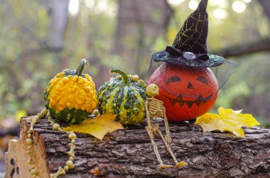 Sonbahar ormanında düşmüş bir ağaç kütüğünün üzerine boyanmış bir yüzle ve cadı şapkasıyla süslenmiş mini balkabakları. Eğlenceli Cadılar Bayramı kutlaması.