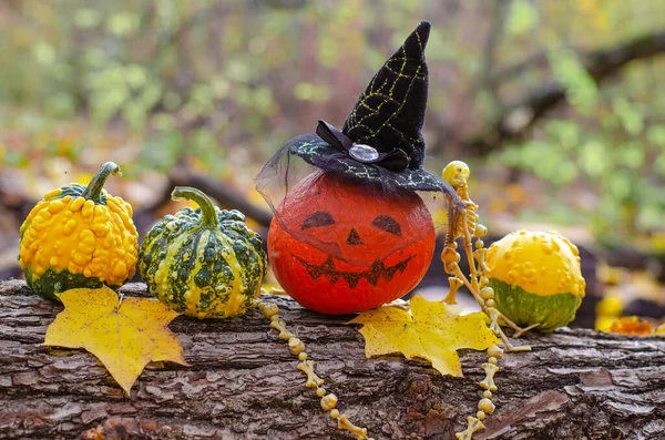 Decorated mini pumpkins with a painted face and a witchs hat on a fallen tree log in the autumn forest. Fun Halloween celebration.