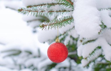 Karla kaplı bir ladin dalında Noel kırmızı dekoru.