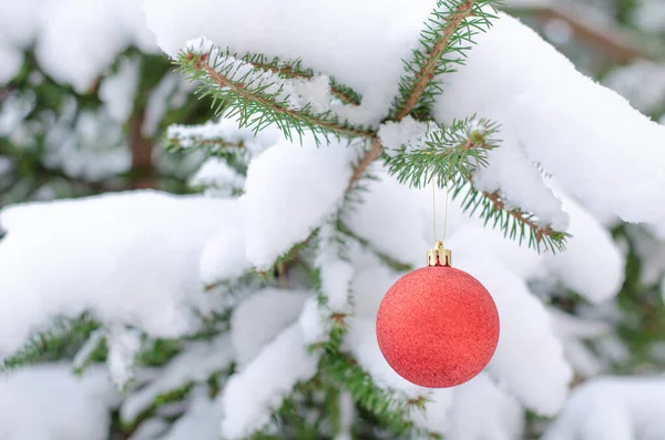 Christmas red decor on a snow-covered spruce branch. — Stock Photo, Image