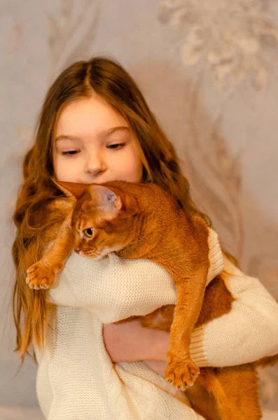 Una niña de 7 años con el pelo largo y rubio jugando con un gato en casa en el sofá. Concepto de mascotas y niños. — Foto de Stock