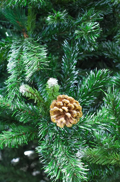 크리스마스 트리의 가지들과 원뿔이 달린 나무. 엽서의 배경. — 스톡 사진