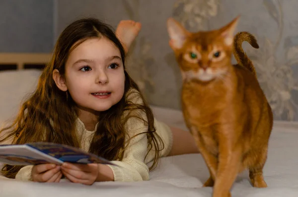 Ett barn, 7-årig flicka med långt blont hår som leker med en katt hemma på soffan. Husdjur och barn koncept. Stockfoto