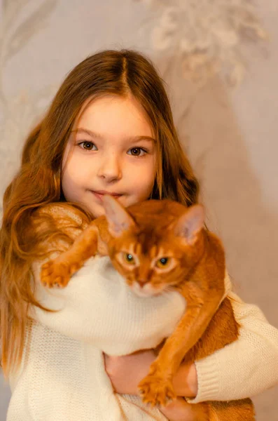Una niña de 7 años con el pelo largo y rubio jugando con un gato en casa en el sofá. Concepto de mascotas y niños. — Foto de Stock