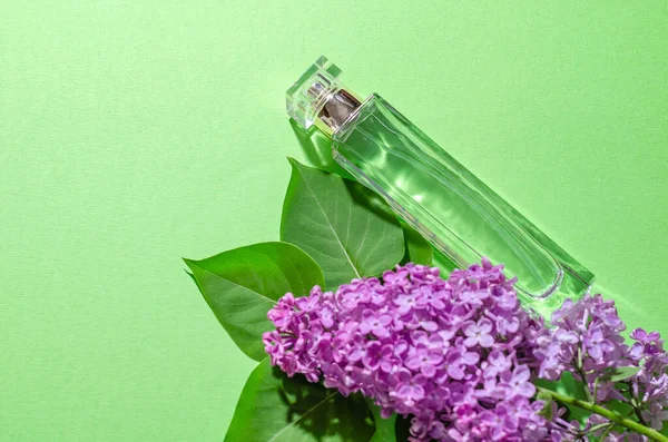 Fleurs lilas pourpres et une bouteille avec du parfum sur un fond vert. Ombres vives et lumière. Place pour votre texte. Photo De Stock