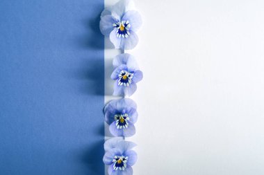 Dikey olarak dizilmiş dört açık mavi nonoş çiçeğin yer aldığı minimalist düz bir kompozisyon. Çiçekler soldaki koyu mavi-mor arkaplanı sağdaki beyaz arkaplandan ayırırlar. Görüntü, fotokopi ile sakin ve taze bir estetiğe sahip.