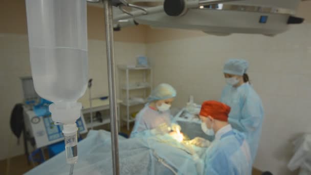 Команда хирургов, работающих с пациентами — стоковое видео