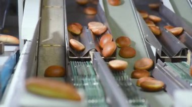 Sıcak taze pişmiş hamburgerler ekmek fabrikasının arka planında konveyör bandına biniyor.
