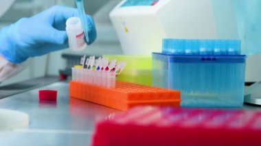 Kauçuk eldivenli bir PCR laboratuvar çalışanının ellerinin yakın plan görüntüsü. Üzerinde virüs ya da aşı olan sıvı örnekleri dökülüyor..