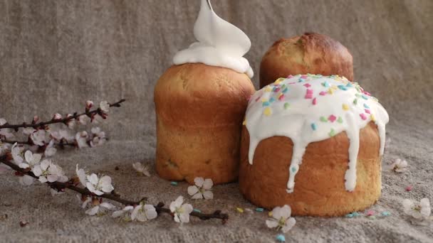 Decoração do bolo de Páscoa com açúcar de confeiteiro e pó colorido no fundo da serapilheira e galhos com flores de primavera — Vídeo de Stock