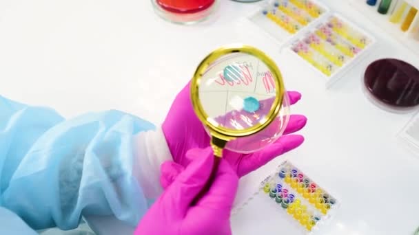 Forscher blickt durch eine Lupe auf Bakterienkolonien vor dem Hintergrund von Labor und Petrischalen. — Stockvideo