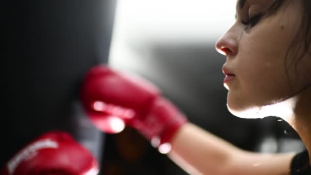 Bastante joven atleta con guantes de boxeo golpea un saco de boxeo. Cuentas de sudor en la cara de la chica boxeadora. — Vídeos de Stock