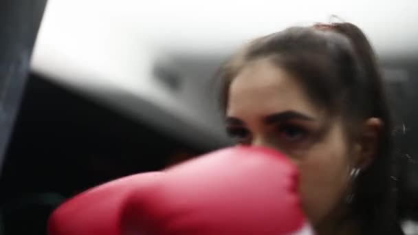 Bastante joven atleta con guantes de boxeo golpea un saco de boxeo. Cuentas de sudor en la cara de la chica boxeadora. — Vídeo de stock