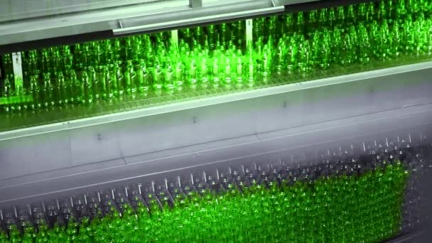 Line for filling beer in a brewery. Empty green glass bottles moving on a conveyor belt in a queue at a beer factory. — Stock Video