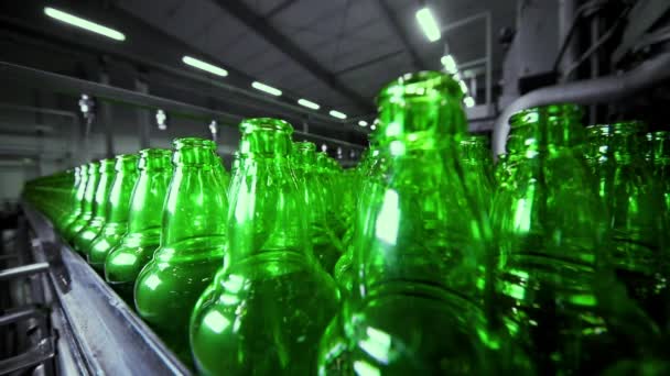 Linie zum Abfüllen von Bier in einer Brauerei. Leere grüne Glasflaschen auf einem Förderband in einer Schlange vor einer Bierfabrik. — Stockvideo