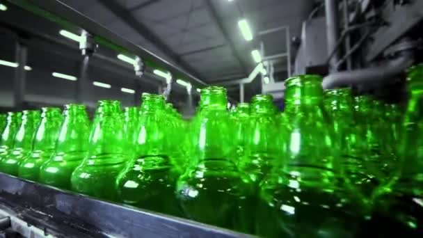 Línea para llenar cerveza en una cervecería. Botellas de vidrio verde vacías moviéndose en una cinta transportadora en una cola en una fábrica de cerveza. — Vídeos de Stock