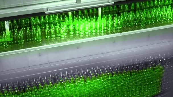Fronta na plnění piva do pivovaru. Prázdné zelené skleněné láhve pohybující se na pásovém dopravníku ve frontě v pivní továrně. — Stock video