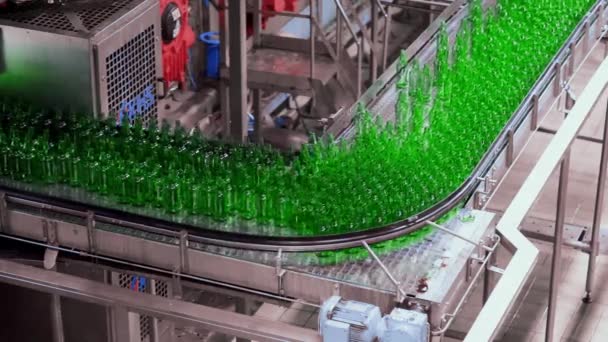Linea per riempire la birra in un birrificio. Bottiglie di vetro verde vuote che si muovono su un nastro trasportatore in coda in una fabbrica di birra. — Video Stock
