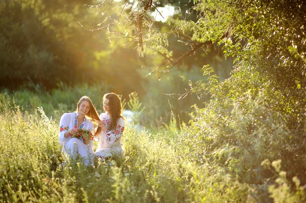Duas meninas em vestido nacional ucraniano sentado na grama. Rapariga — Fotografia de Stock