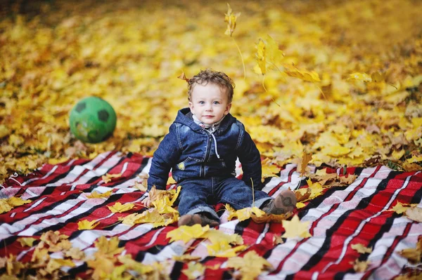 Bayi keriting dengan mata biru duduk di latar belakang musim gugur Leav — Stok Foto