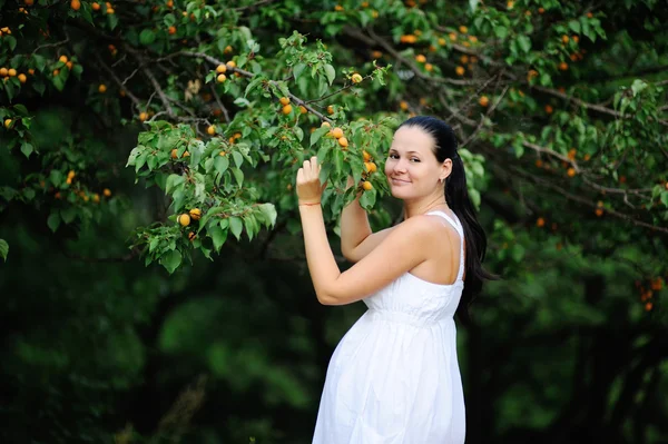 Έγκυος κοπέλα σε έναν λευκό sundress το ιστορικό του βερίκοκου t — Φωτογραφία Αρχείου