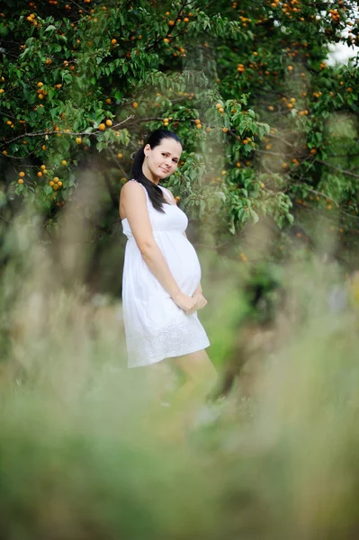 Беременная девушка в белом сарафане на фоне абрикоса т — стоковое фото