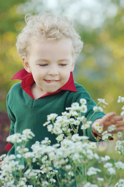 Curly-haired boy plucks flowers — Stock Photo, Image