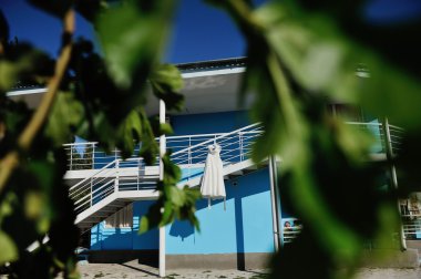 yeşil yaprakları ve mavi gökyüzü arka plan üzerinde gelinlik