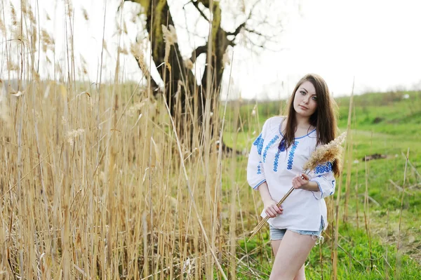 Slavische meisje in Oekraïense shirt houden oren van maïs — Stockfoto