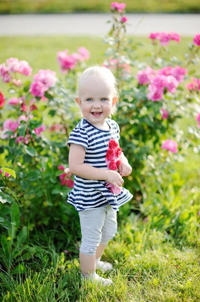 Mädchen auf einem Hintergrund aus Rosen — Stockfoto