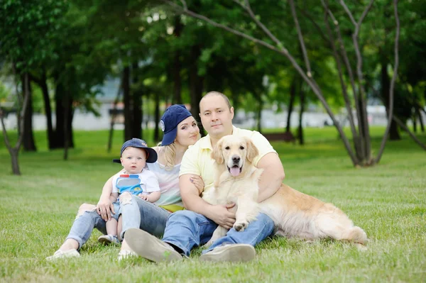 Family with a dog retriever on the grass — Stok fotoğraf