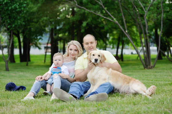 Family with a dog retriever on the grass — Stok fotoğraf