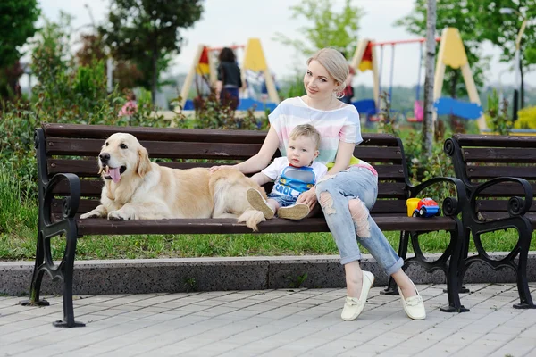 Семья с собакой-ретривером — стоковое фото