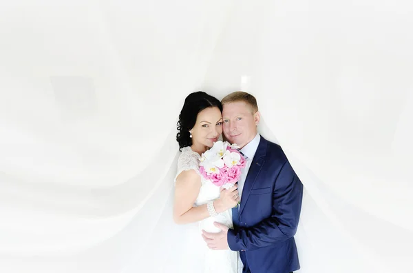 The bride and groom on a white background. the bride with a wedd Stock Picture
