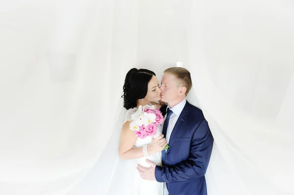 The bride and groom on a white background. the bride with a wedd Royalty Free Stock Photos