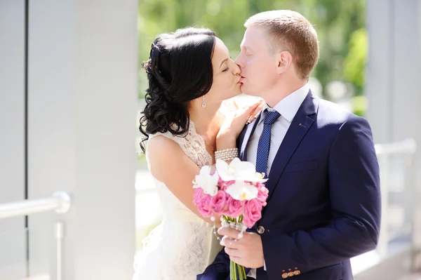 Groom passionately kisses bride — Stock Photo, Image