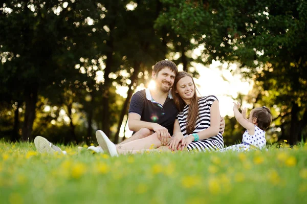 Young family relaxing in the park on the grass.