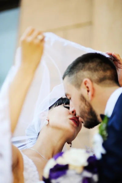 Bride and groom kissing under the veil — Stock Photo, Image