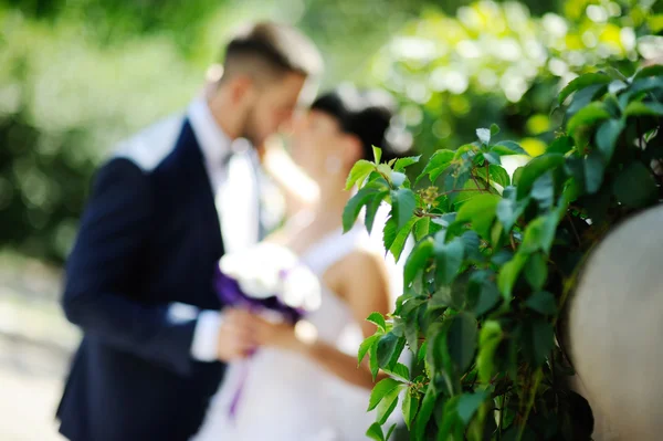 La mariée et le marié sur le fond de verdure. Photo à Rasfo — Photo